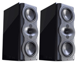 Perlisten Audio R5m Black High Gloss